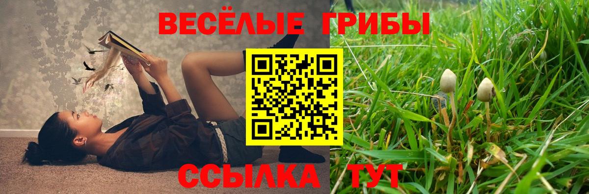 Псилоцибиновые грибы Psilocybe  Вход с VPN  Галлюциногенные грибы мицелий  Костомукша 